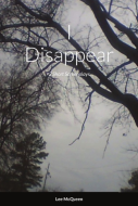 I DISAPPEAR 3 SHORT SCREENPLAYS Front Cover